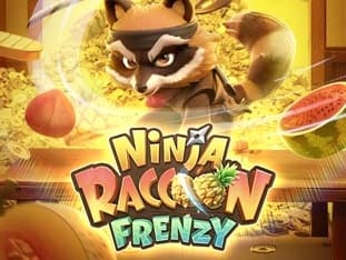 Ninja Racoon Frenzy thumbnail